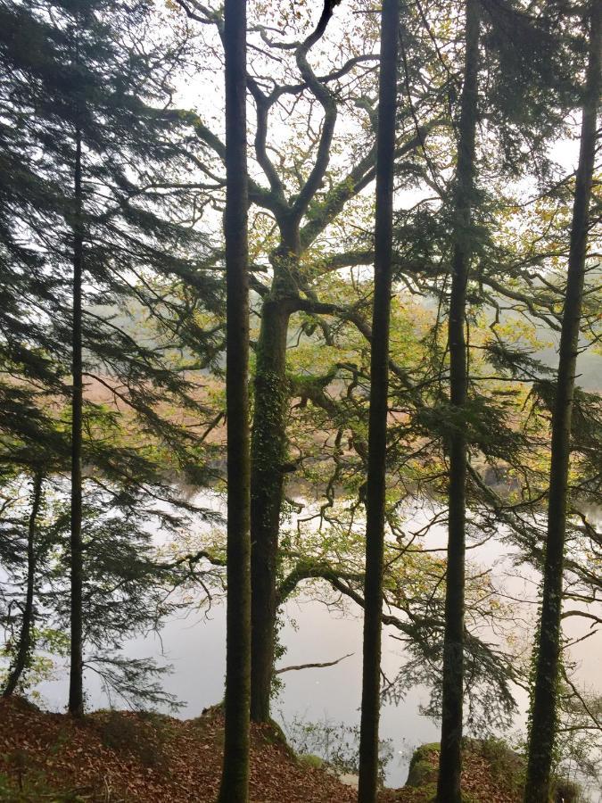 Le Clos De Lisa Clohars-Carnoet Bagian luar foto